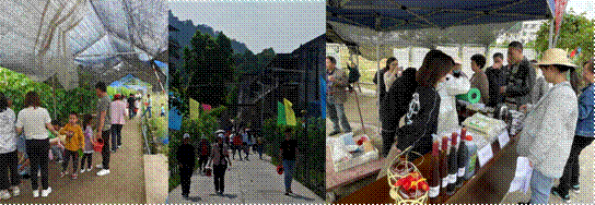 图片5